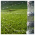 Premium veehouderij veld grasland hek